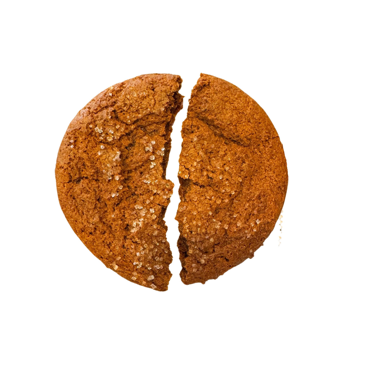 Gingersnap Cookie | Half Size