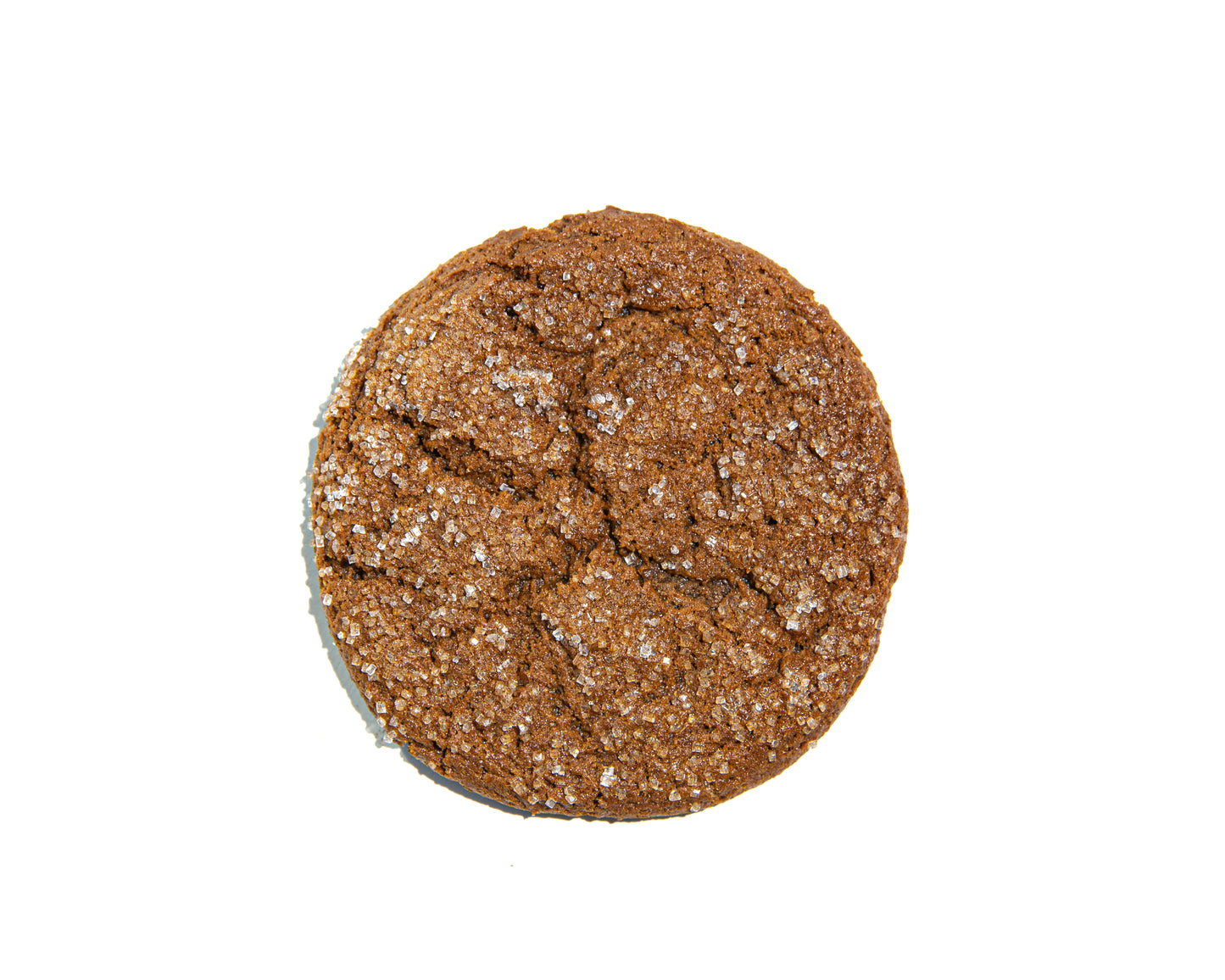 Gingersnap Cookie