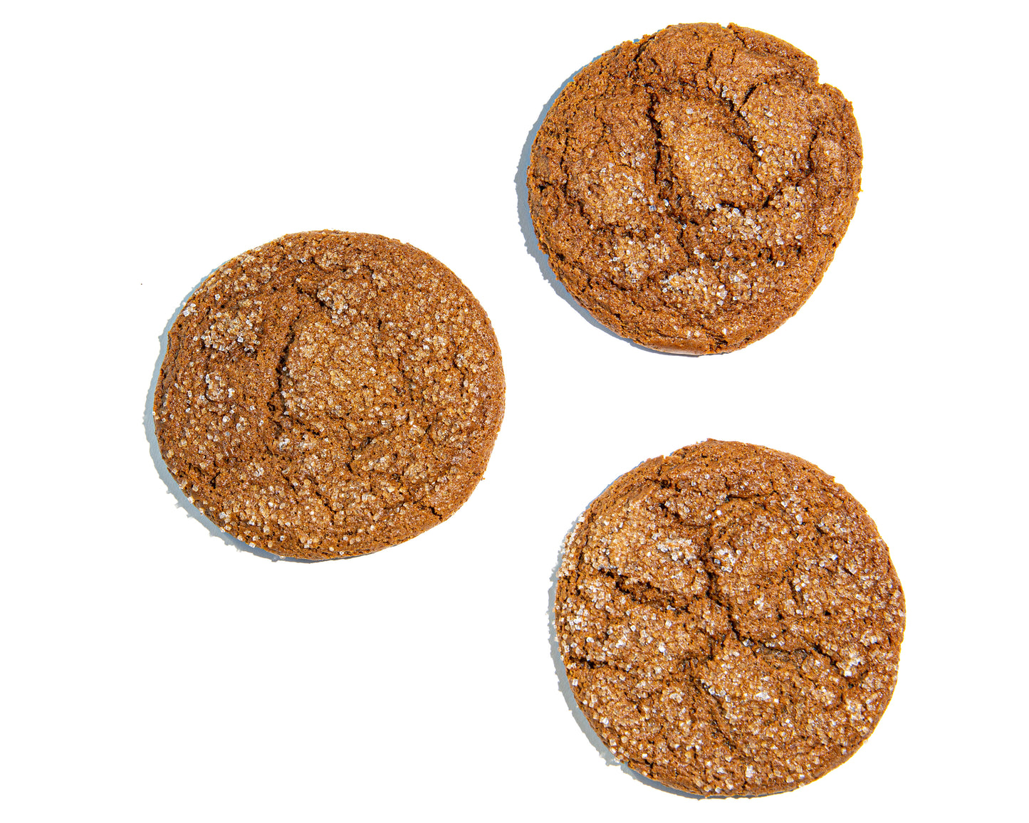 Gingersnap Cookie