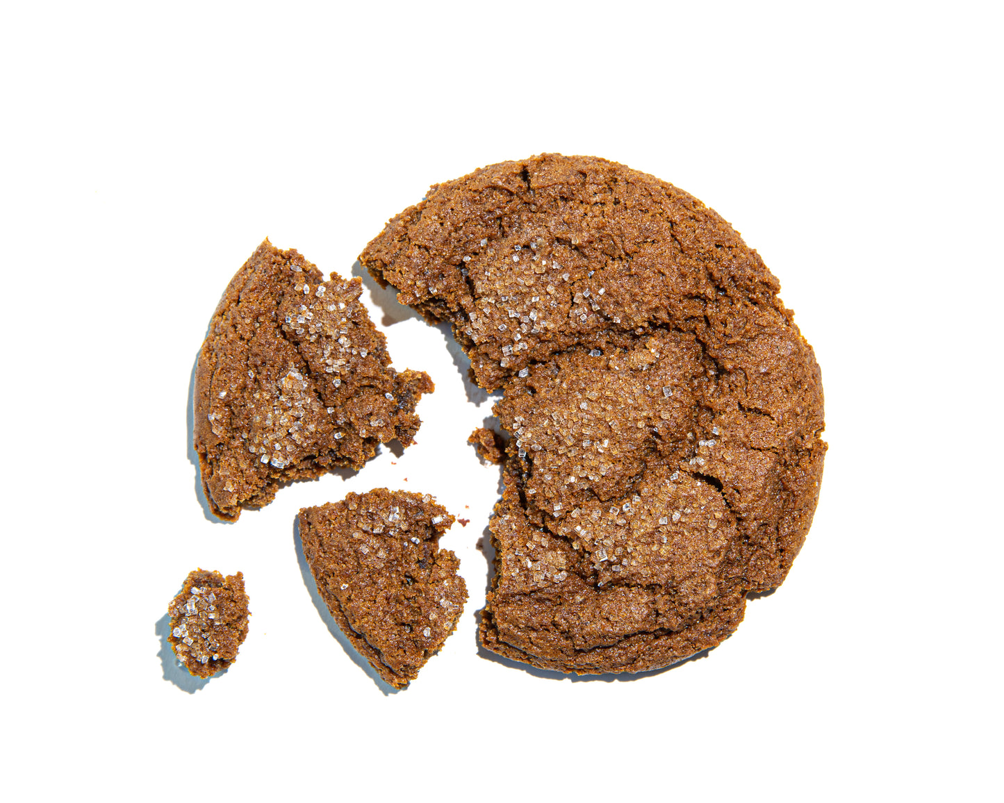 Gingersnap Cookie